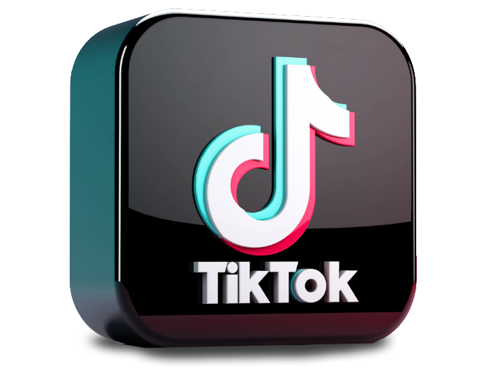 Our Creators tiktok box